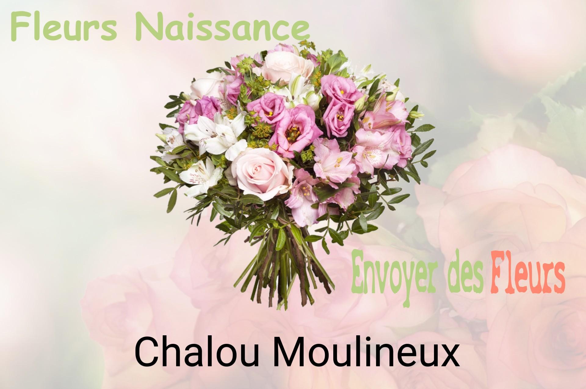 Bouquet de fleurs de naissance livré à Chalou-Moulineux