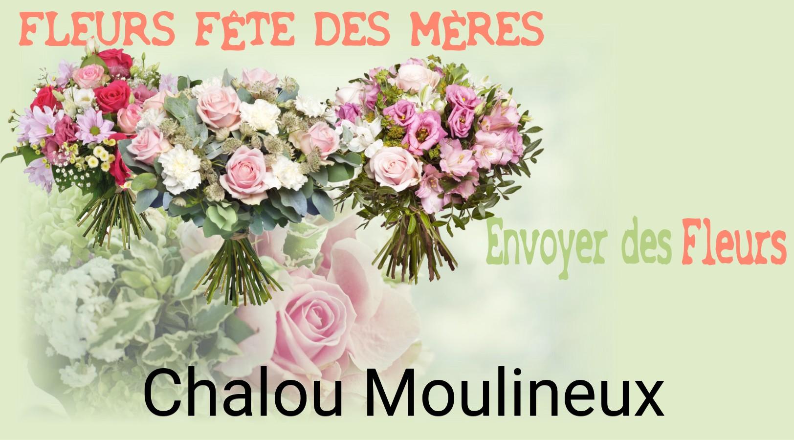 Bouquet de Fête des Mères livré à Chalou-Moulineux