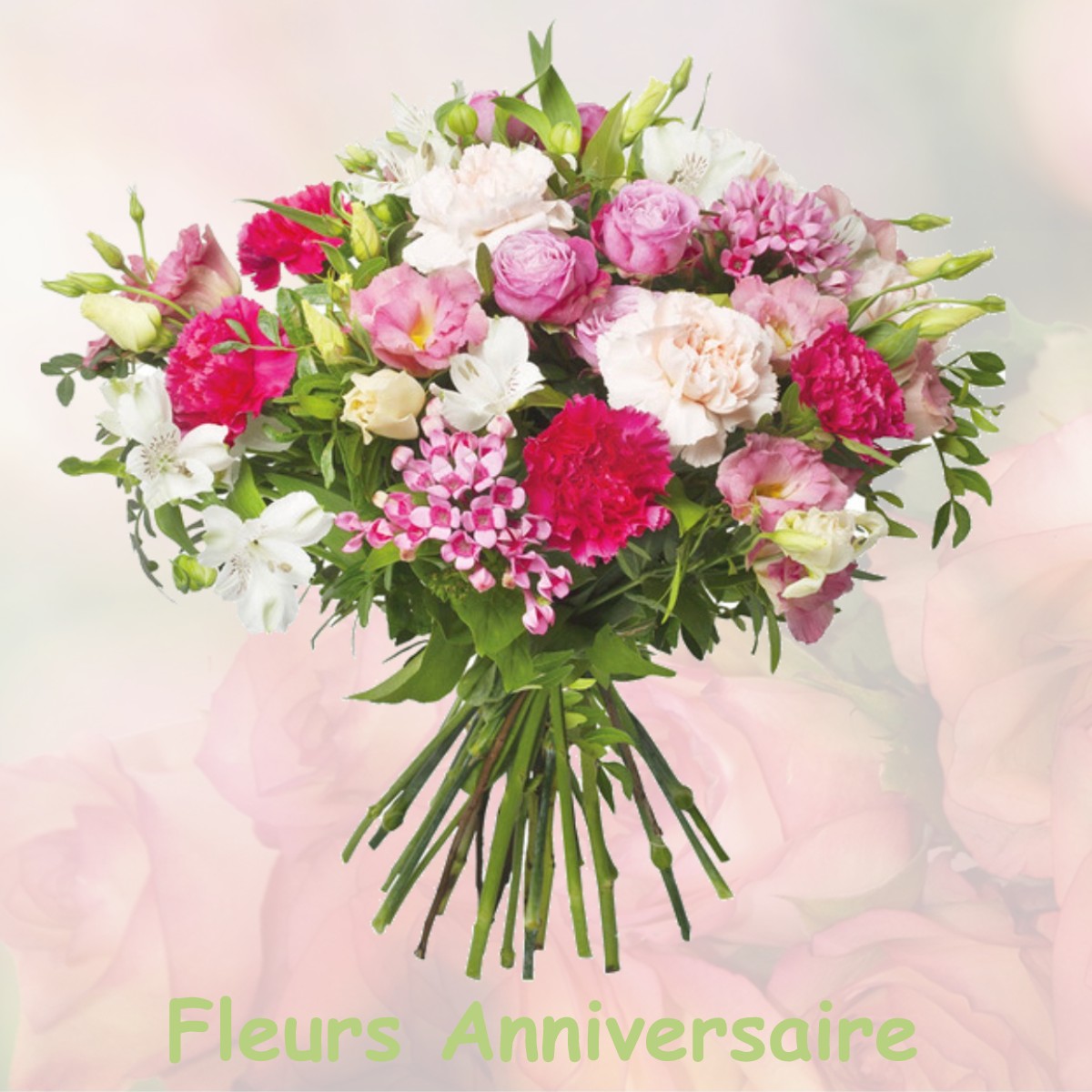 fleurs anniversaire CHALOU-MOULINEUX